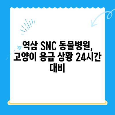 역삼 SNC 동물병원 고양이 응급 진료 시간 안내 | 24시 운영, 야간 진료, 응급 상황