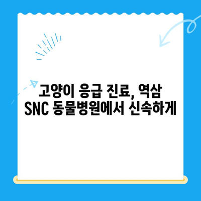 역삼 SNC 동물병원 고양이 응급 진료 시간 안내 | 24시 운영, 야간 진료, 응급 상황