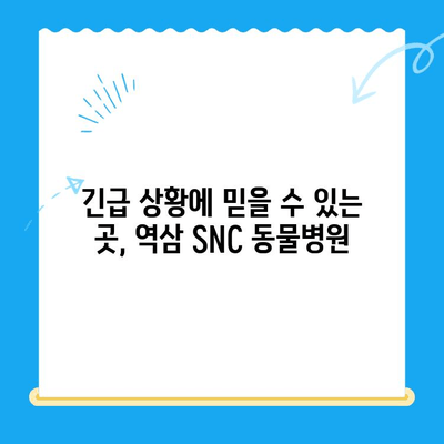 역삼 SNC 동물병원 고양이 응급 진료 시간 안내 | 24시 운영, 야간 진료, 응급 상황