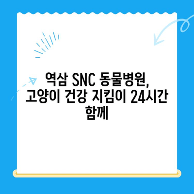 역삼 SNC 동물병원 고양이 응급 진료 시간 안내 | 24시 운영, 야간 진료, 응급 상황