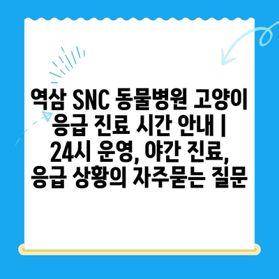 역삼 SNC 동물병원 고양이 응급 진료 시간 안내 | 24시 운영, 야간 진료, 응급 상황