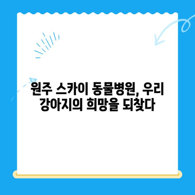 원주 24시 스카이 동물병원, 강아지 사지마비/갈색뇨 치료 후기| 희망을 찾은 이야기 | 강아지 질병, 치료 경험, 동물병원 추천