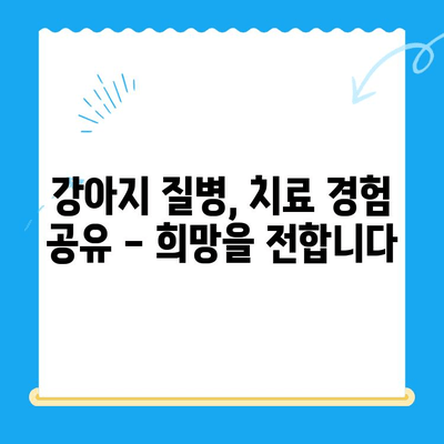 원주 24시 스카이 동물병원, 강아지 사지마비/갈색뇨 치료 후기| 희망을 찾은 이야기 | 강아지 질병, 치료 경험, 동물병원 추천