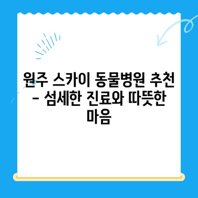 원주 24시 스카이 동물병원, 강아지 사지마비/갈색뇨 치료 후기| 희망을 찾은 이야기 | 강아지 질병, 치료 경험, 동물병원 추천