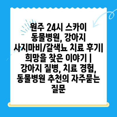 원주 24시 스카이 동물병원, 강아지 사지마비/갈색뇨 치료 후기| 희망을 찾은 이야기 | 강아지 질병, 치료 경험, 동물병원 추천