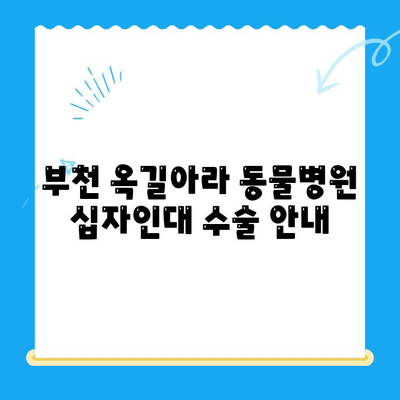 부천 옥길아라 동물병원에서 연중무휴로 진행하는 반려동물 십자인대 수술 안내 | 십자인대 파열, 수술 과정, 재활, 비용