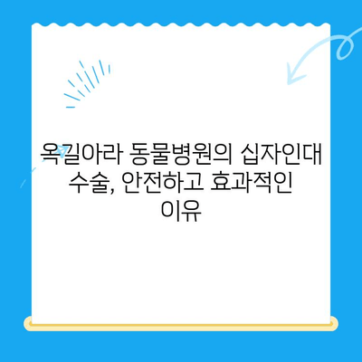 부천 옥길아라 동물병원에서 연중무휴로 진행하는 반려동물 십자인대 수술 안내 | 십자인대 파열, 수술 과정, 재활, 비용