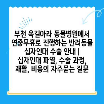 부천 옥길아라 동물병원에서 연중무휴로 진행하는 반려동물 십자인대 수술 안내 | 십자인대 파열, 수술 과정, 재활, 비용