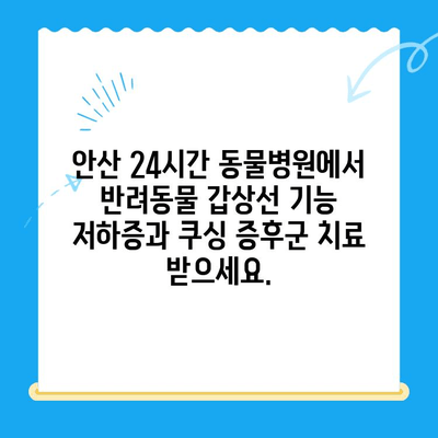 안산 24시간 동물병원, 갑상선 기능 저하증과 쿠싱 증후군 치료 | 반려동물 건강, 안산 동물병원, 24시간 진료