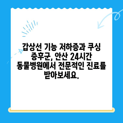 안산 24시간 동물병원, 갑상선 기능 저하증과 쿠싱 증후군 치료 | 반려동물 건강, 안산 동물병원, 24시간 진료