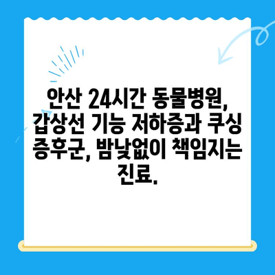 안산 24시간 동물병원, 갑상선 기능 저하증과 쿠싱 증후군 치료 | 반려동물 건강, 안산 동물병원, 24시간 진료