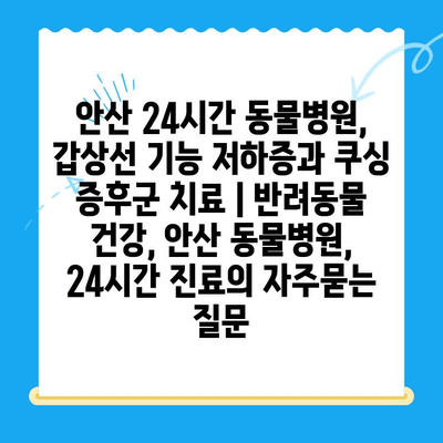 안산 24시간 동물병원, 갑상선 기능 저하증과 쿠싱 증후군 치료 | 반려동물 건강, 안산 동물병원, 24시간 진료