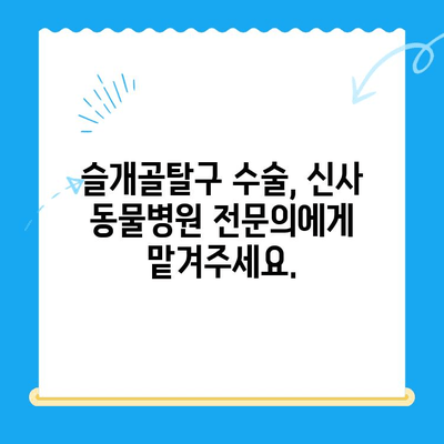 24시간 신사 동물병원| 슬개골탈구 전문 수술 안내 | 반려동물, 슬개골, 수술, 재활, 전문의