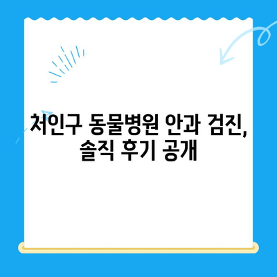 처인구 동물병원 안과 검진 후기| 솔직한 경험 공유 | 반려동물 안과, 눈 건강, 진료 후기