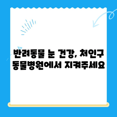 처인구 동물병원 안과 검진 후기| 솔직한 경험 공유 | 반려동물 안과, 눈 건강, 진료 후기