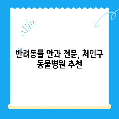 처인구 동물병원 안과 검진 후기| 솔직한 경험 공유 | 반려동물 안과, 눈 건강, 진료 후기