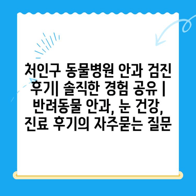 처인구 동물병원 안과 검진 후기| 솔직한 경험 공유 | 반려동물 안과, 눈 건강, 진료 후기