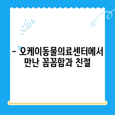 오케이동물의료센터 고양이 건강검진 후기| 꼼꼼한 검진 과정과 친절한 서비스 후기 | 고양이 건강, 동물병원, 건강검진, 후기