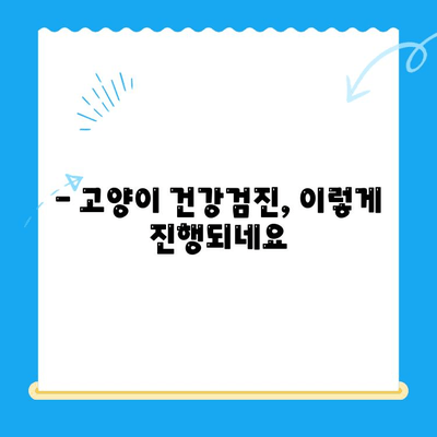 오케이동물의료센터 고양이 건강검진 후기| 꼼꼼한 검진 과정과 친절한 서비스 후기 | 고양이 건강, 동물병원, 건강검진, 후기