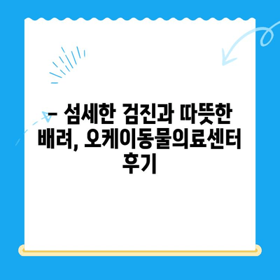 오케이동물의료센터 고양이 건강검진 후기| 꼼꼼한 검진 과정과 친절한 서비스 후기 | 고양이 건강, 동물병원, 건강검진, 후기