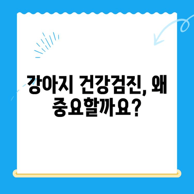 강아지 건강검진 타임| 대전 타임동물메디컬센터에서 건강 지키기 | 강아지 건강검진, 대전 동물병원, 건강 상담, 예방 접종