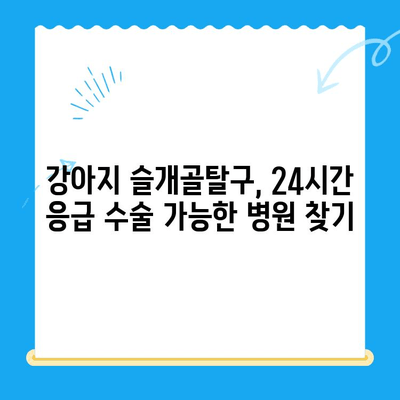 강아지 슬개골탈구 수술, 24시간 응급 진료 가능한 동물병원 추천 | 슬개골탈구, 응급 수술, 야간 진료, 동물병원