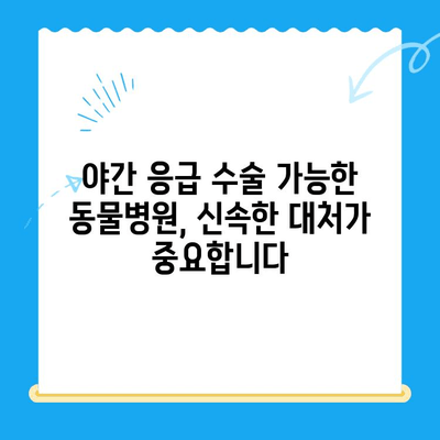 강아지 슬개골탈구 수술, 24시간 응급 진료 가능한 동물병원 추천 | 슬개골탈구, 응급 수술, 야간 진료, 동물병원