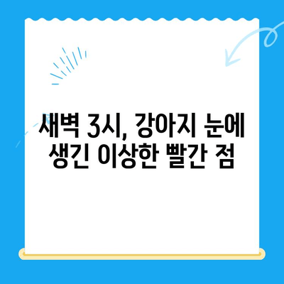 강아지 안과 응급 상황, 24시간 센터에서 겪은 실제 경험 후기 | 강아지 안과 검진, 응급처치, 24시간 동물병원