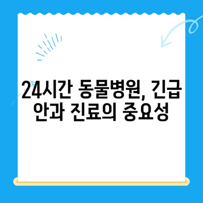 강아지 안과 응급 상황, 24시간 센터에서 겪은 실제 경험 후기 | 강아지 안과 검진, 응급처치, 24시간 동물병원