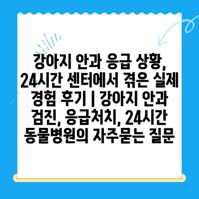 강아지 안과 응급 상황, 24시간 센터에서 겪은 실제 경험 후기 | 강아지 안과 검진, 응급처치, 24시간 동물병원