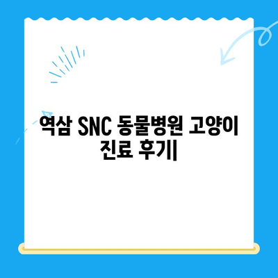 역삼 SNC 동물병원 고양이 진료 후기| 24시간 응급 진료 경험 공유 | 역삼동, 고양이 병원, 야간 진료