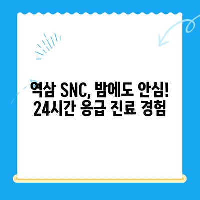 역삼 SNC 동물병원 고양이 진료 후기| 24시간 응급 진료 경험 공유 | 역삼동, 고양이 병원, 야간 진료