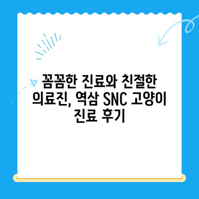 역삼 SNC 동물병원 고양이 진료 후기| 24시간 응급 진료 경험 공유 | 역삼동, 고양이 병원, 야간 진료