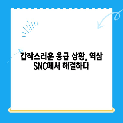 역삼 SNC 동물병원 고양이 진료 후기| 24시간 응급 진료 경험 공유 | 역삼동, 고양이 병원, 야간 진료