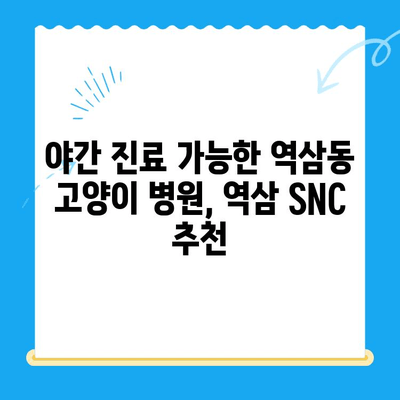 역삼 SNC 동물병원 고양이 진료 후기| 24시간 응급 진료 경험 공유 | 역삼동, 고양이 병원, 야간 진료
