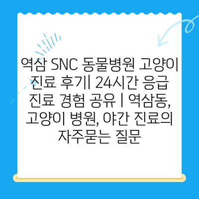 역삼 SNC 동물병원 고양이 진료 후기| 24시간 응급 진료 경험 공유 | 역삼동, 고양이 병원, 야간 진료