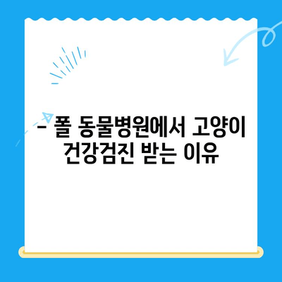 24시 동물병원 폴 동물병원에서 고양이 건강검진 받기|  검진 종류 및 비용 안내 | 고양이 건강, 24시 동물병원, 폴 동물병원, 건강검진