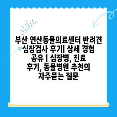 부산 연산동물의료센터 반려견 심장검사 후기| 상세 경험 공유 | 심장병, 진료 후기, 동물병원 추천