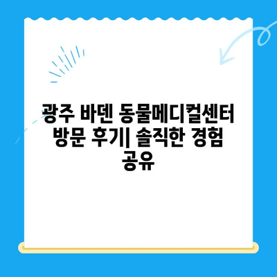 광주 바덴 동물메디컬센터 동물병원 방문 후기| 진료부터 서비스까지 솔직 후기 | 광주 동물병원, 바덴 동물메디컬센터, 애견병원, 애묘병원