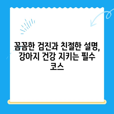 대전 24시 동물병원 강아지 건강검진 후기| 솔직한 경험 공유 | 대전, 동물병원, 강아지 건강, 건강검진