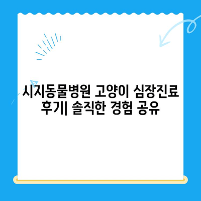 시지동물병원 고양이 심장진료 후기| 솔직한 경험 공유 | 고양이 심장병, 진료 후기, 시지 동물병원