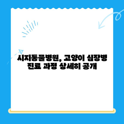 시지동물병원 고양이 심장진료 후기| 솔직한 경험 공유 | 고양이 심장병, 진료 후기, 시지 동물병원