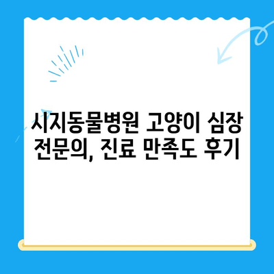 시지동물병원 고양이 심장진료 후기| 솔직한 경험 공유 | 고양이 심장병, 진료 후기, 시지 동물병원