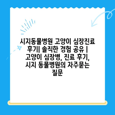 시지동물병원 고양이 심장진료 후기| 솔직한 경험 공유 | 고양이 심장병, 진료 후기, 시지 동물병원