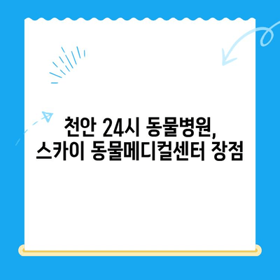 천안 강아지 건강검진, 24시 동물병원 추천| 스카이 동물메디컬센터 비용 안내 | 천안 동물병원, 강아지 건강검진 비용, 24시 동물병원
