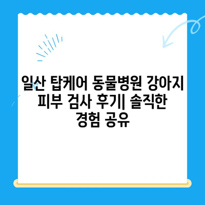 일산 탑케어 동물병원 강아지 피부 검사 후기| 솔직한 경험 공유 | 피부병, 알레르기, 진료 후기, 비용