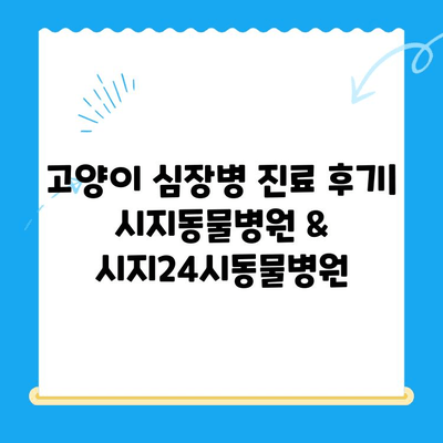 고양이 심장병 진료 후기| 시지동물병원 & 시지24시동물병원 | 고양이 심장병, 동물병원 추천, 진료 후기, 시지