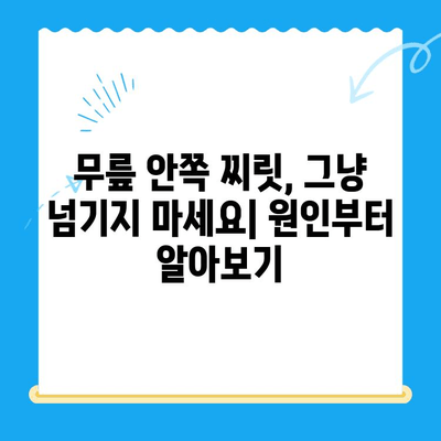 무릎 안쪽 찌릿, 통증 관리 가이드 | 무릎 통증, 원인, 치료, 운동, 예방