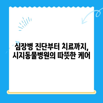 고양이 심장병 진료 후기| 시지동물병원 & 시지24시동물병원 | 고양이 심장병, 동물병원 추천, 진료 후기, 시지