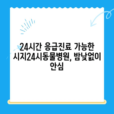 고양이 심장병 진료 후기| 시지동물병원 & 시지24시동물병원 | 고양이 심장병, 동물병원 추천, 진료 후기, 시지